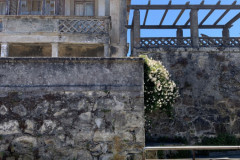 tima-travels-portugal-2019-2_0147_2019-05-29_13-32-27